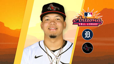 Trade acquisition Liranzo headlines Tigers' Arizona Fall League group