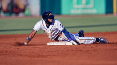 Rays No. 5 prospect becomes first player to steal 100 bases since 2012