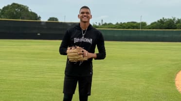 Power-hitting No. 4 prospect Rodriguez headlines Tigers' signings