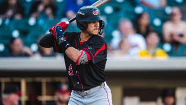 Nats' No. 4 prospect regally swats homer in fourth consecutive game (and then again!)