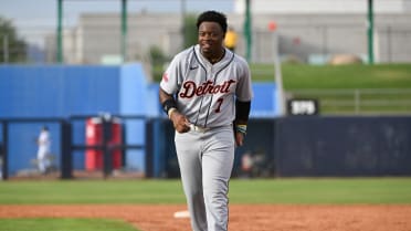 Who's next? A look at Detroit's new wave of top prospects