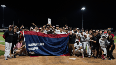 Top two prospects, 2026 draftees lead Single-A Astros to championship