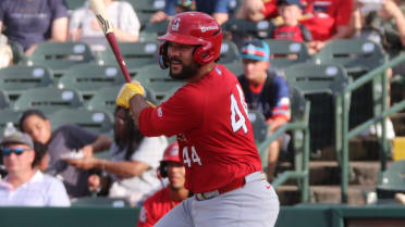 Catching prospect Leo Bernal promoted to Majors amid flurry of Cards moves