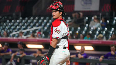 Headlined by Salas, Padres' new prospect rankings more stable than usual