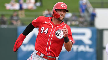 How did the Reds' prospects fare this spring?