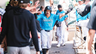 If baseball is this Sox prospect's 'hobby,' what's his job?