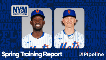 Mets looking for top prospects to complement veteran stars