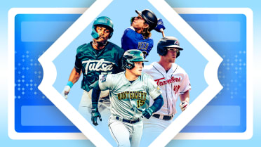 Checking in on Minor League statistical leaders