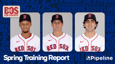 Boston's 'Core Four' hitting principles breeding prospect success