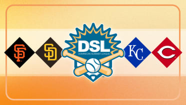 Championship Bracket for the Dominican Summer League Cup is set!
