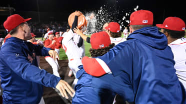 Rockies' affiliate wins title on walk-off ... HBP?!