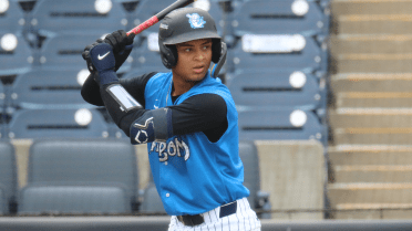 Is there something in Tarpons' water? Yankees prospect tallies third 3-HR game for Single-A affiliate this year