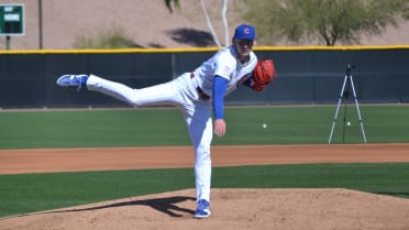 Wiggins laying foundation to be Cubs' next breakout star