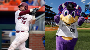 Rockies' mascot has a new fan in this Colorado Draft pick