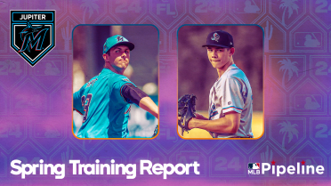 Marlins' system in young hands with top two hurlers