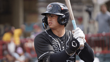 Tigers farmhand slugs TWO grand slams in same game during Double-A playoffs