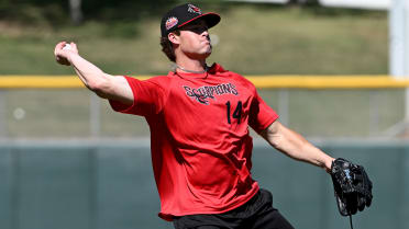 Man on the move: Tigers' shortstop prospect Peck now refining craft in Fall League