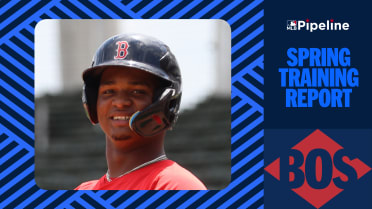 Sox international prospects putting on a show this spring