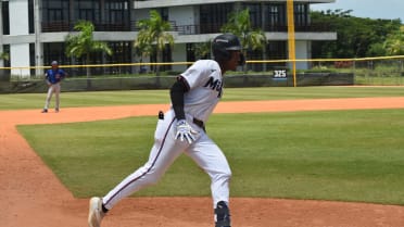 Marlins prospect Castro sets Dominican Summer League homer record
