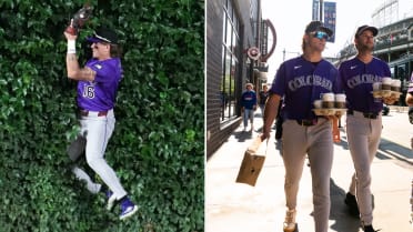 Carrigg crashes into ivy, then runs for coffee