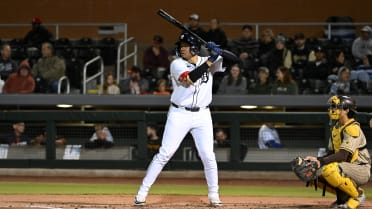 Tigers' top catching prospect leads list of non-roster invites