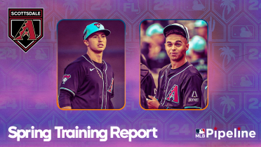 More young talent on the way for D-backs after NL title