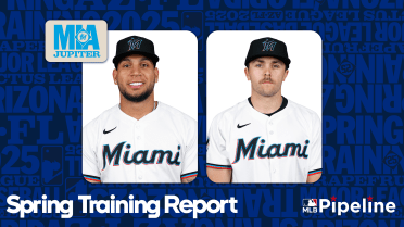 Fresh-look Marlins ready to make impact in the bigs