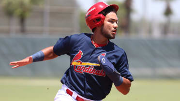 This fast-moving 18-year-old has ascended Cardinals' rankings just as quickly
