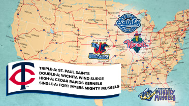 Explore the Twins' Minor League ballparks
