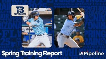 New Rays prospect additions fitting right into the organizational mold