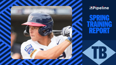 'Hyper-transactional' Rays stockpiled prospect talent in offseason