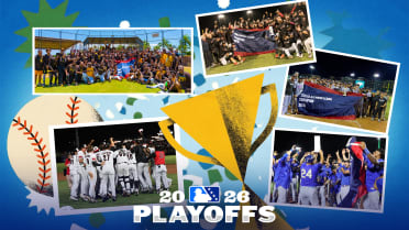 Here are the Minor League champions of the 2026 season
