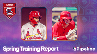 Scott leads deep outfield group in Cards' camp