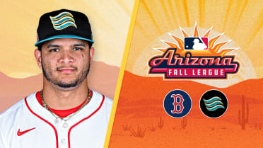 Flamethrowing Red Sox prospect Perales on comeback trail in Fall League