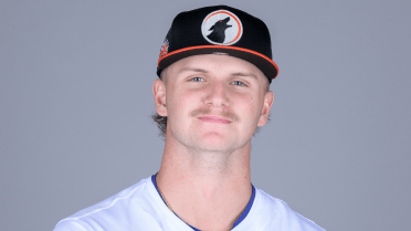 Dodgers' Chambers thriving as youngest pitcher in Fall League