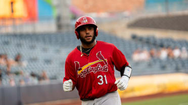 Cardinals' excellent farm system got even better after Draft, Deadline
