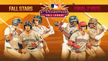 Vote NOW for the Fall Stars Game Final 2