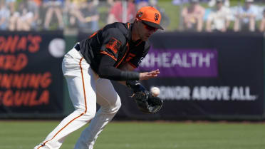 Defense gives Ahmed Giants' shortstop job over Luciano