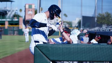 Tigers' No. 9 prospect muscles up with 3-homer game in Fall League