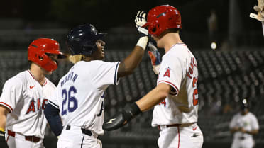 Rays No. 10 prospect's grand success owes a lot to his LSU origins