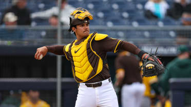 Padres' No. 2 prospect Salas to miss 2 months with stress reaction in back