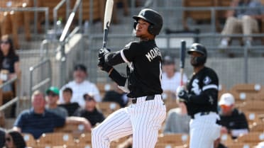 Taking a look at the White Sox prospects ahead of 2026