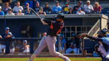 Tigers' No. 4 prospect Briceño out for months with wrist ailment