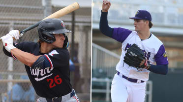 Twins' Top 2 Draft picks Houston, Quick shine in first full pro seasons