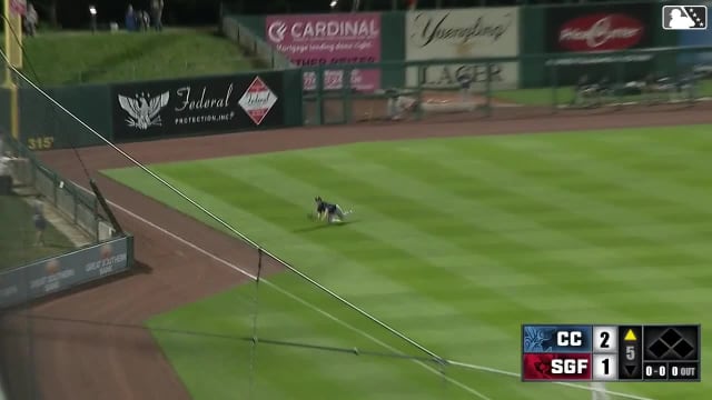Colin Barber makes a diving catch