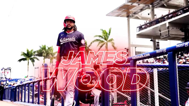 James Wood called up to the Majors