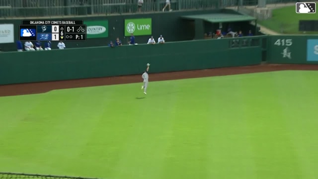 Colin Barber's diving catch 
