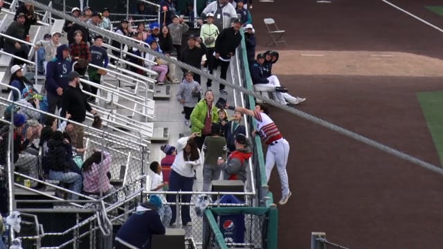 Luis Suisbel reaches into stands to make catch
