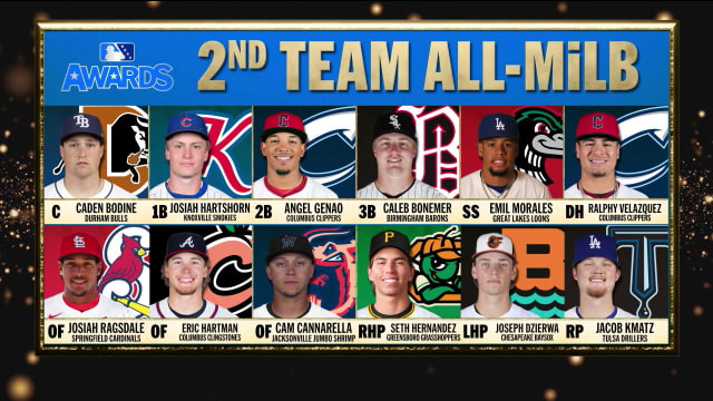 MiLB Awards: 1st and 2nd Team All-MiLB