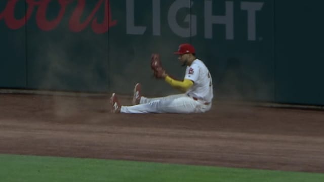 Joshua Báez's home run robbery
